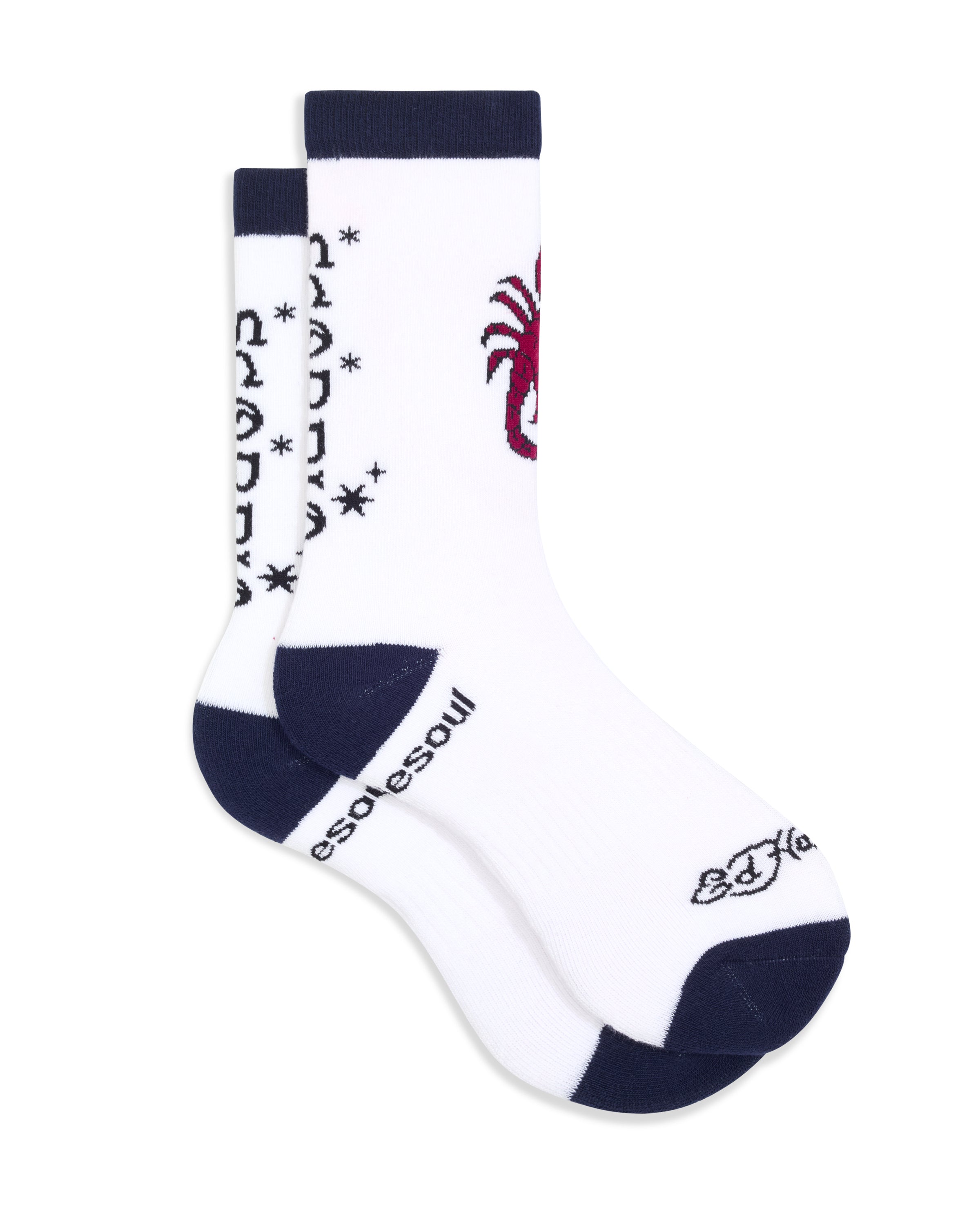 Ed Hardy Zodiac High Sock