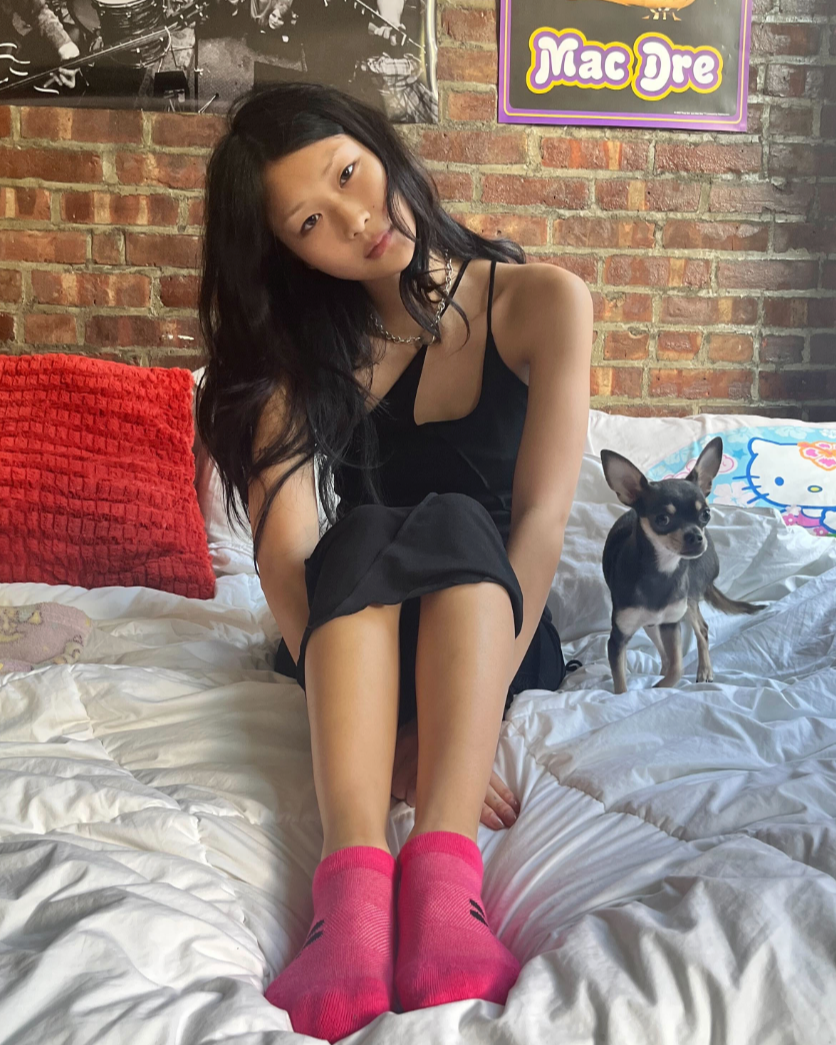 Low 6 Pack Wonderland