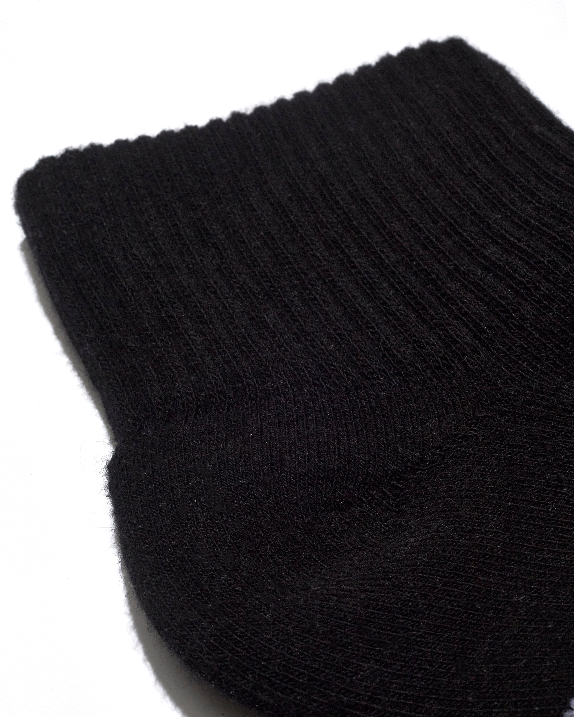 Quarter 6 Pack Wanderlust