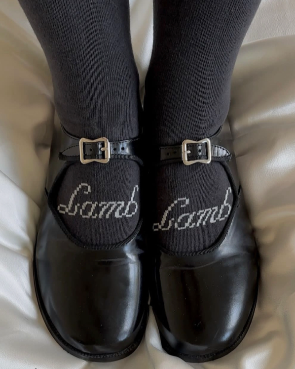 Orion High Sock 2 Pack Mixed