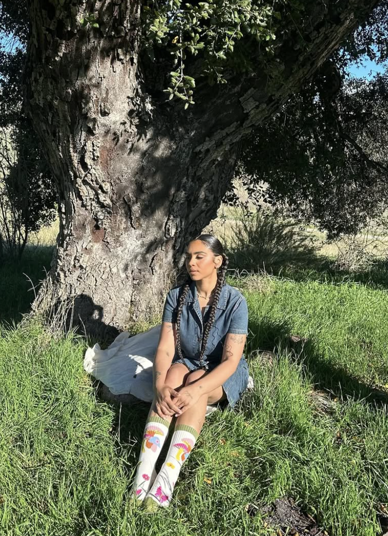 Collab Collectors High Sock 7 Pack